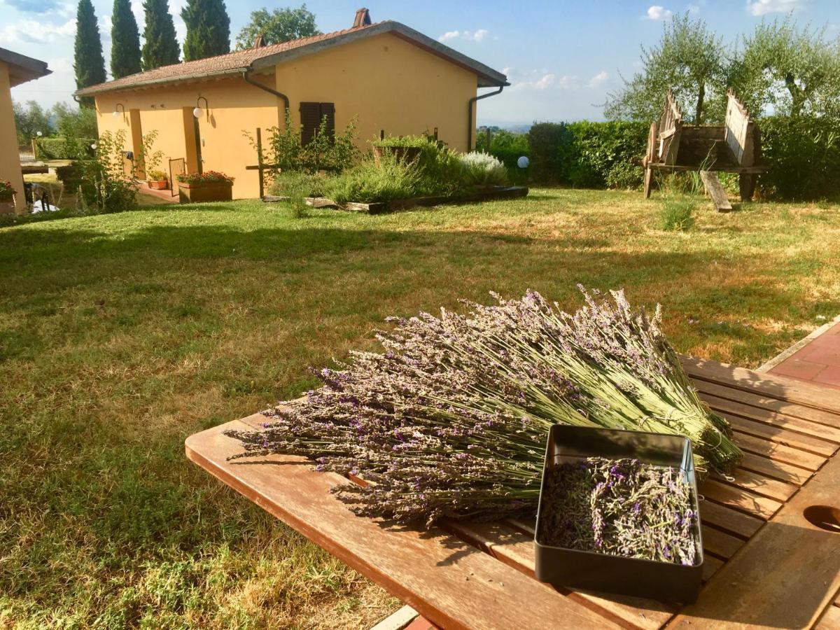 Agriturismo Metina Acquaviva  Exterior photo